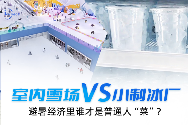 室內(nèi)雪場(chǎng)VS小制冰廠，避暑經(jīng)濟(jì)里誰(shuí)才是普通人“菜”？